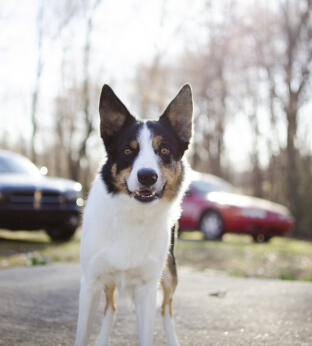 Maya Chen profile photo