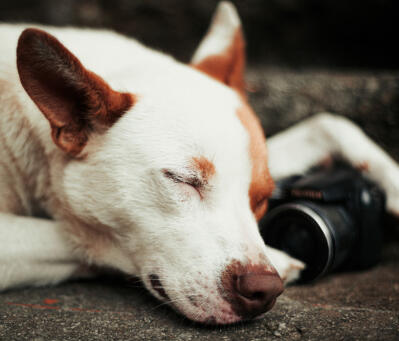 Jonas Richter profile photo