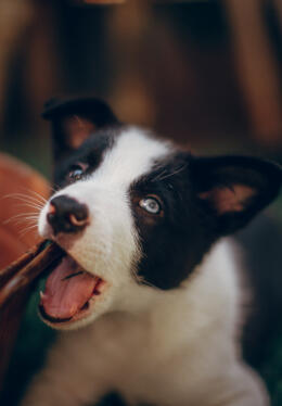 Maya Chen profile photo