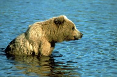 Maya Chen profile photo