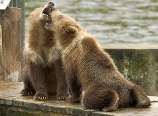 Jonas Richter profile photo