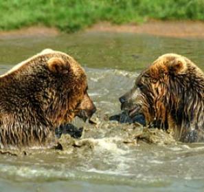 Alex Martinez avatar