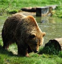 Alex Martinez avatar