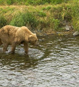 Maya Chen profile photo