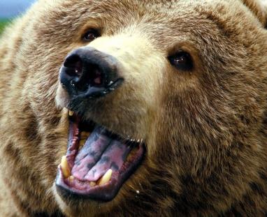 Leo Anders profile photo