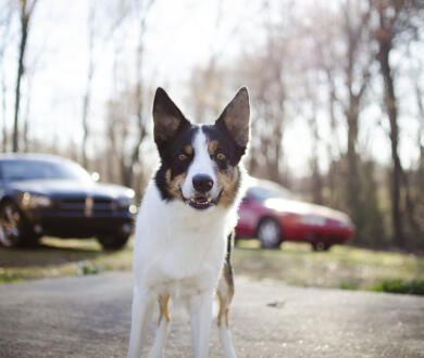 Jonas Richter profile photo