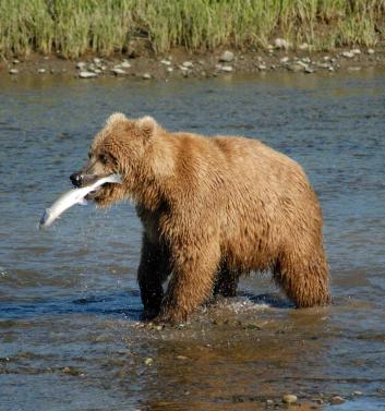 Alex Martinez avatar