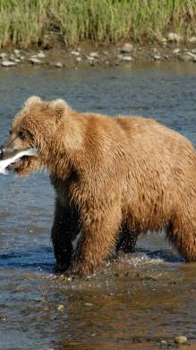 Leo Anders profile photo