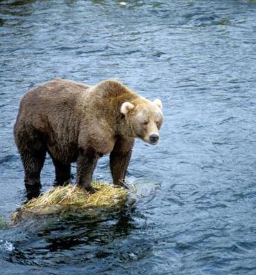 Alex Martinez avatar