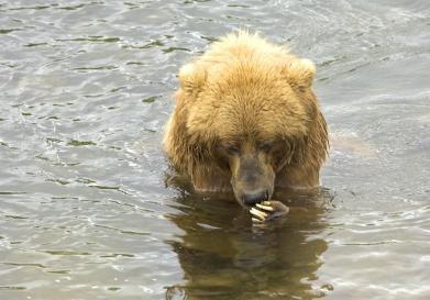 Maya Chen profile photo