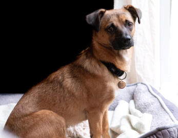 Alex Martinez avatar