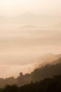 Leo Anders profile photo