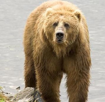 Jonas Richter profile photo