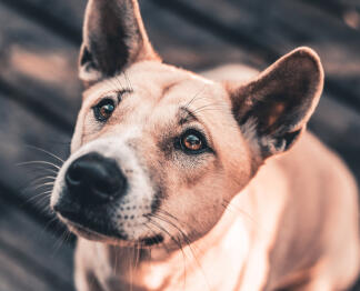 Jonas Richter profile photo