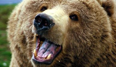 Maya Chen profile photo