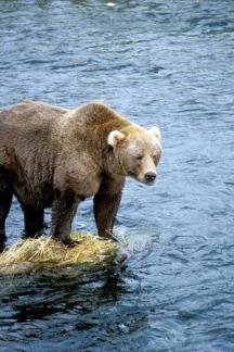 Maya Chen profile photo