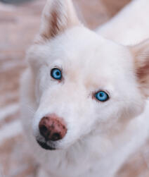 Maya Chen profile photo