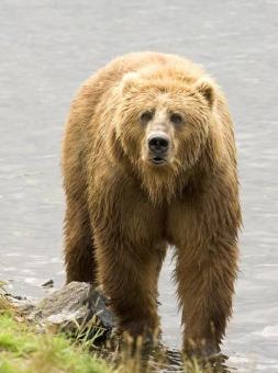 Jonas Richter profile photo