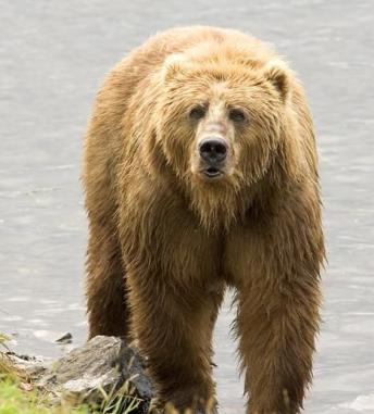 Jonas Richter profile photo