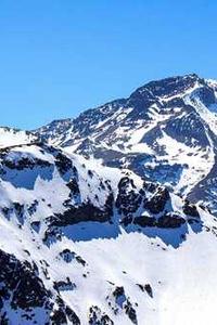 Alex Martinez avatar