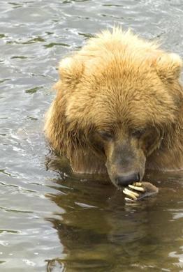 Leo Anders profile photo