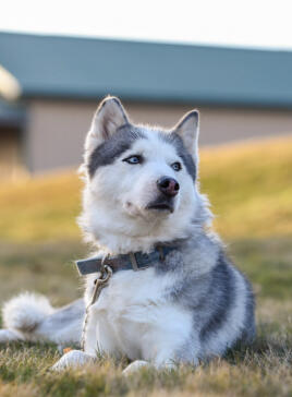 Jonas Richter profile photo