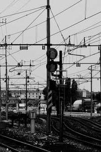 Alex Martinez avatar