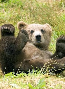 Maya Chen profile photo